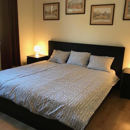 Lovely & Cozy Apartment Σινάια Εξωτερικό φωτογραφία