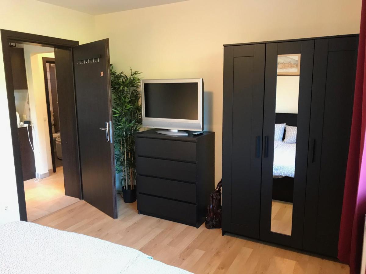 Lovely & Cozy Apartment Σινάια Εξωτερικό φωτογραφία