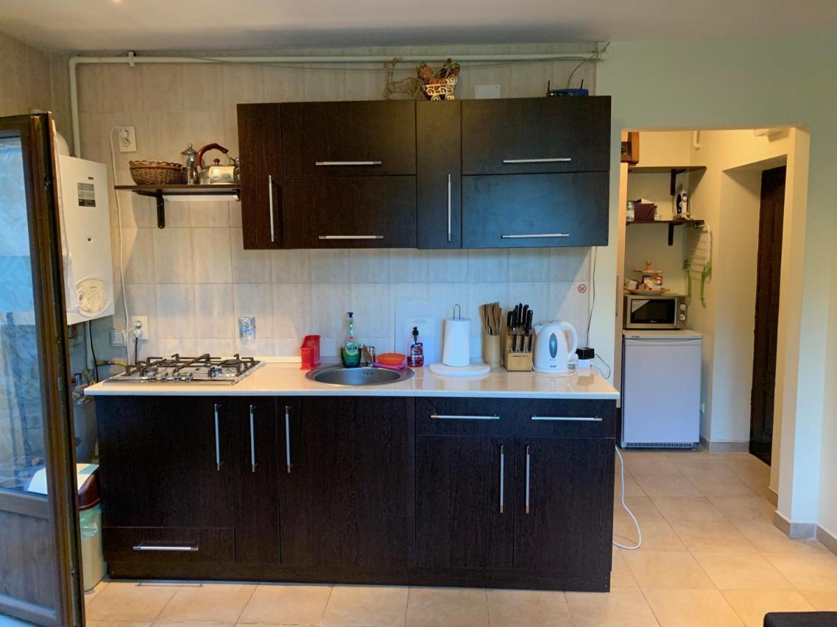Lovely & Cozy Apartment Σινάια Εξωτερικό φωτογραφία