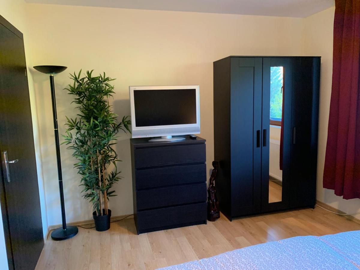 Lovely & Cozy Apartment Σινάια Εξωτερικό φωτογραφία