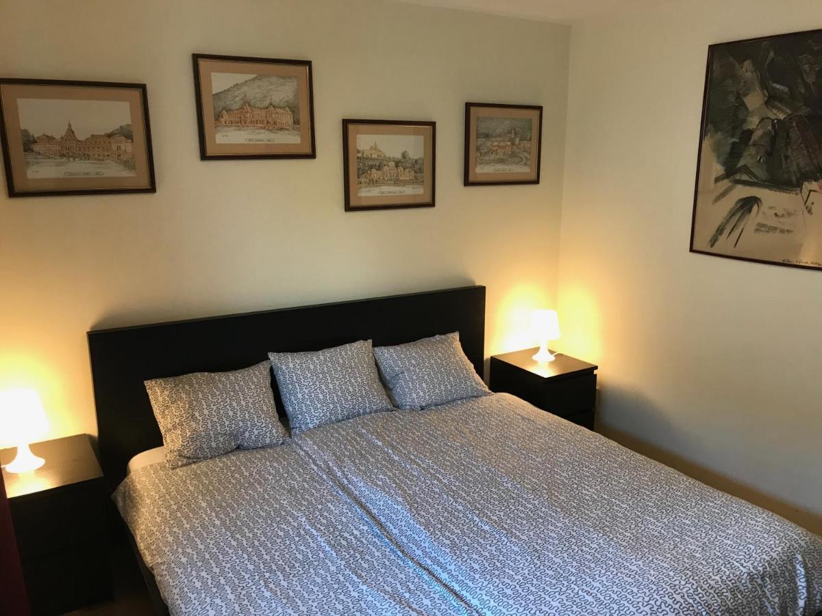 Lovely & Cozy Apartment Σινάια Εξωτερικό φωτογραφία