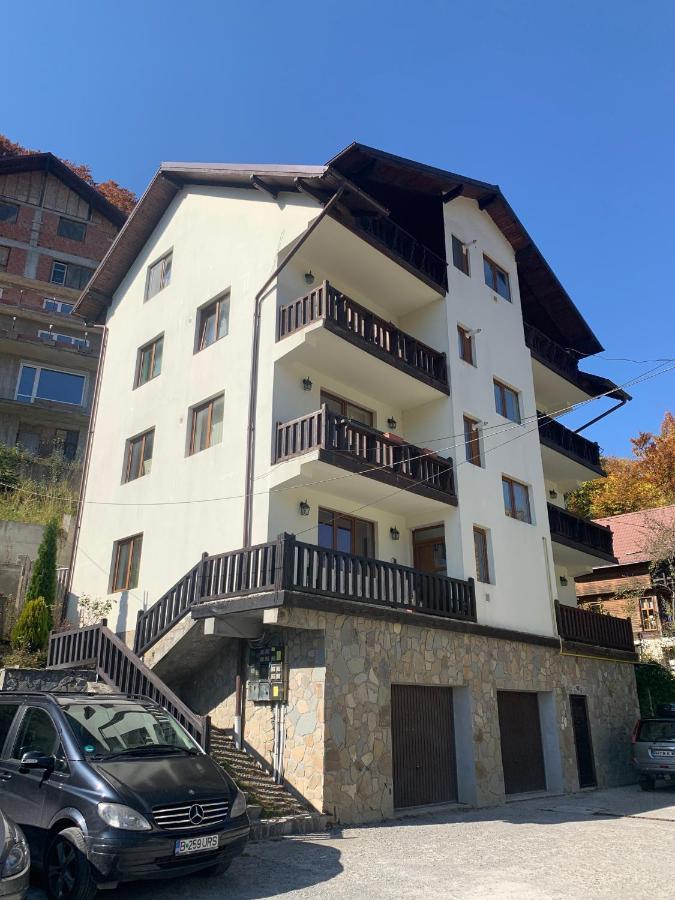 Lovely & Cozy Apartment Σινάια Εξωτερικό φωτογραφία