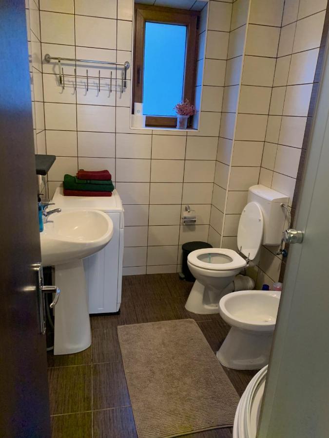 Lovely & Cozy Apartment Σινάια Εξωτερικό φωτογραφία