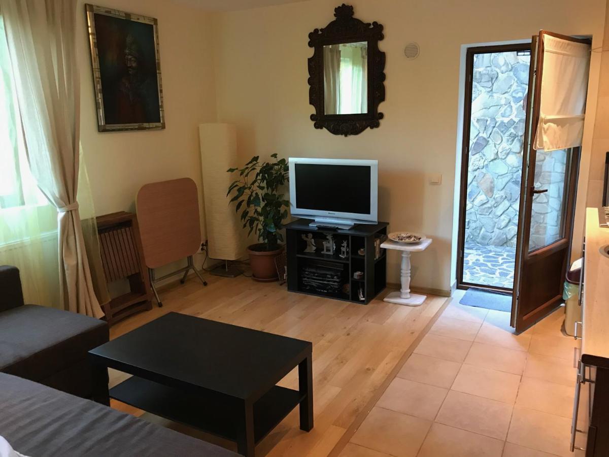 Lovely & Cozy Apartment Σινάια Εξωτερικό φωτογραφία