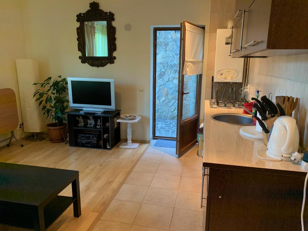 Lovely & Cozy Apartment Σινάια Εξωτερικό φωτογραφία