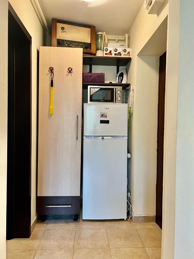 Lovely & Cozy Apartment Σινάια Εξωτερικό φωτογραφία